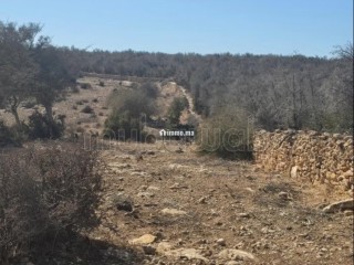 Terrain titré de 3 000 m² à Douar Lareich - Terrain à vendre - Essaouira