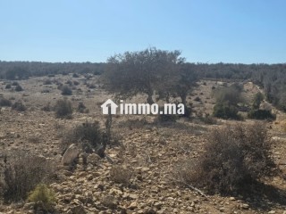Terrain titré de 3 000 m² à Douar Lareich - Terrain à vendre - Essaouira