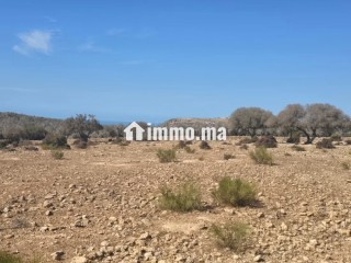 Terrain titré de 3 000 m² à Douar Lareich - Terrain à vendre - Essaouira
