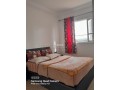 Appartements à louer en Centre ville. 2 chambres agréables. Porte blindée et parabole - miniature 1