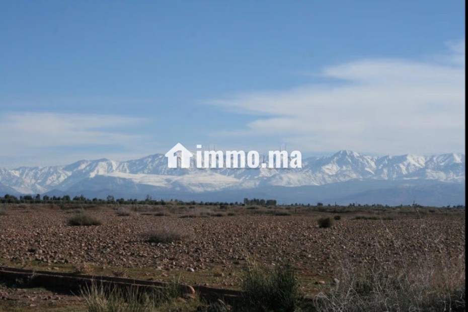 1 hectare avandre sur la route de tahnnaote - Vente Immobilier - Marrakech - photo 1