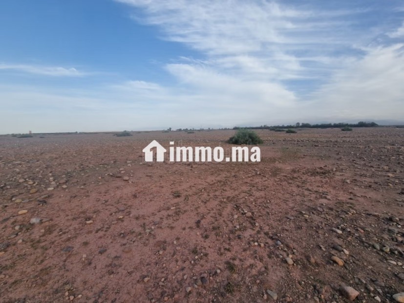 1 hectare avandre sur la route de tahnnaote - Vente Immobilier - Marrakech - photo 4