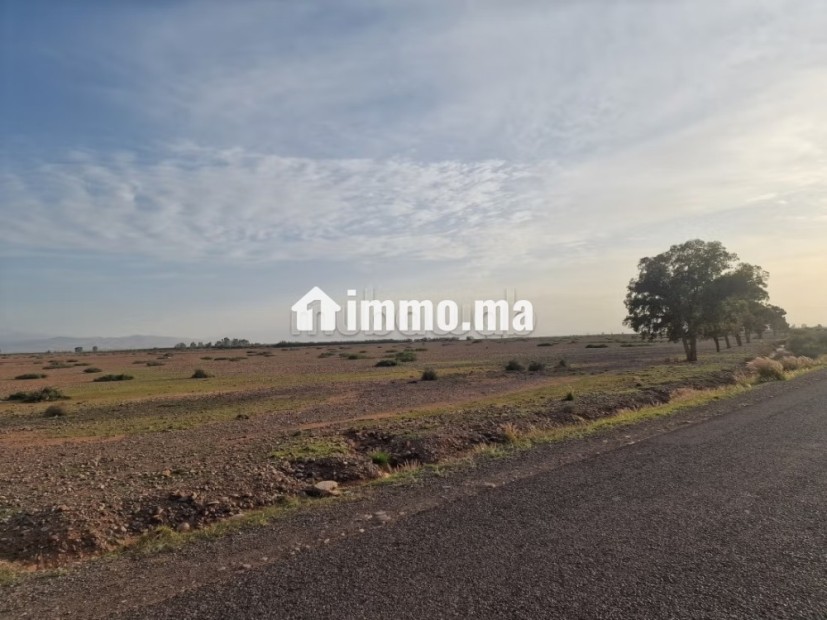 1 hectare avandre sur la route de tahnnaote - Vente Immobilier - Marrakech - photo 6