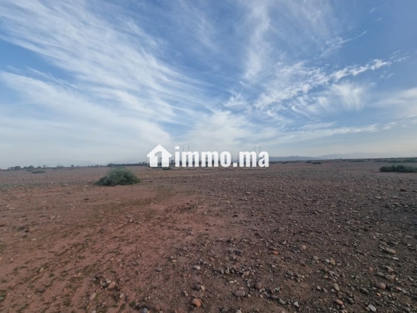 1 hectare avandre sur la route de tahnnaote - Vente Immobilier - Marrakech - photo 7