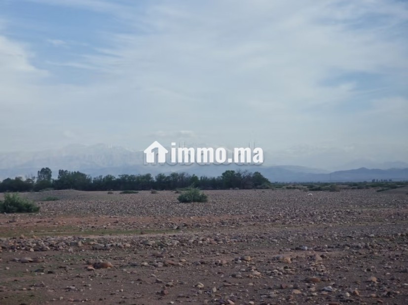 1 hectare avandre sur la route de tahnnaote - Vente Immobilier - Marrakech - photo 8