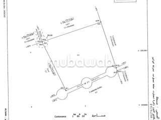 1 hectare avandre sur la route de tahnnaote - Maison à vendre - Marrakech