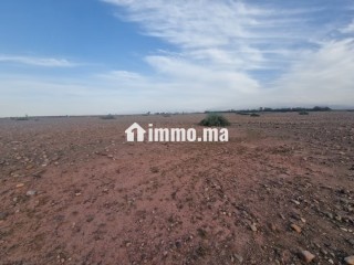 1 hectare avandre sur la route de tahnnaote - Maison à vendre - Marrakech
