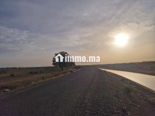 1 hectare avandre sur la route de tahnnaote - Maison à vendre - Marrakech