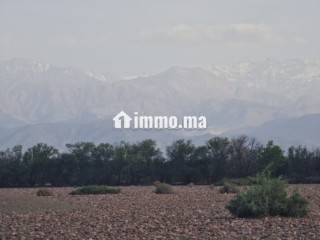 1 hectare avandre sur la route de tahnnaote - Maison à vendre - Marrakech