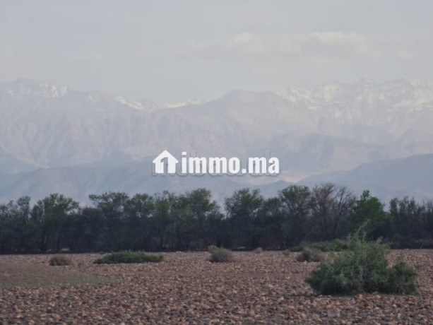 1-hectare-avandre-sur-la-route-de-tahnnaote-big-8