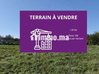 Vente Terrain D6 El Menzeh - Terrain à vendre - Autre