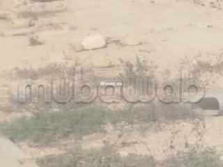 Terrain industrielle à vendre Zenata et mediouna - Terrain à vendre - Casablanca
