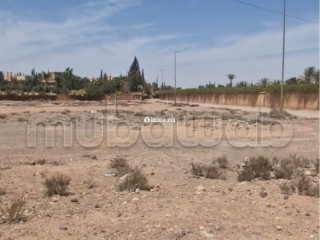 Vente de terrain à Route Amizmiz.
Surface de 10000 m² - Terrain à vendre - Marrakech