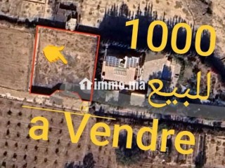 ارض للبيع مساحتها 1000 متر مربع تتر - Terrain à vendre - Agadir