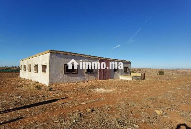 Terrain à vendre 7,5 Ha - Oued El Maleh - Vente Immobilier - Mohammedia - photo 3