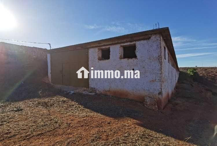 Terrain à vendre 7,5 Ha - Oued El Maleh - Vente Immobilier - Mohammedia - photo 5