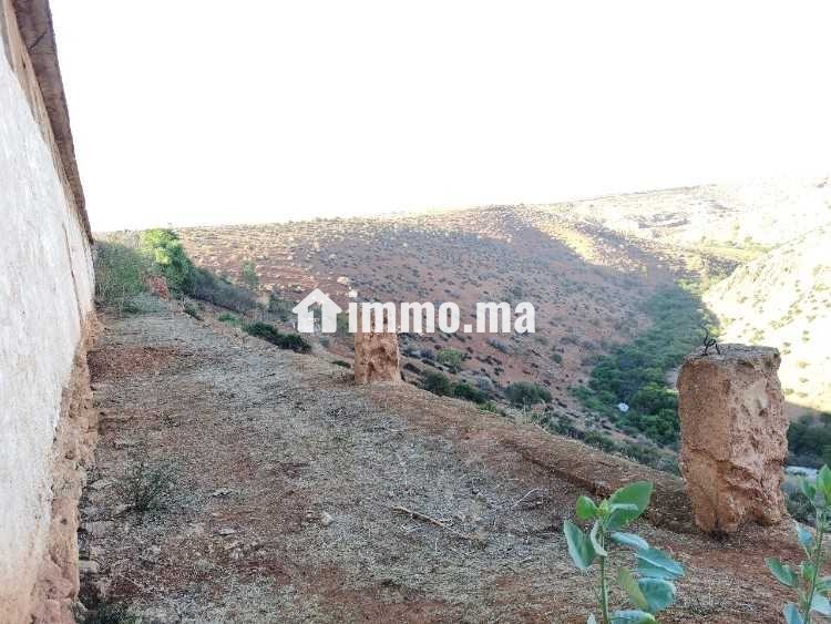 Terrain à vendre 7,5 Ha - Oued El Maleh - Vente Immobilier - Mohammedia - photo 6