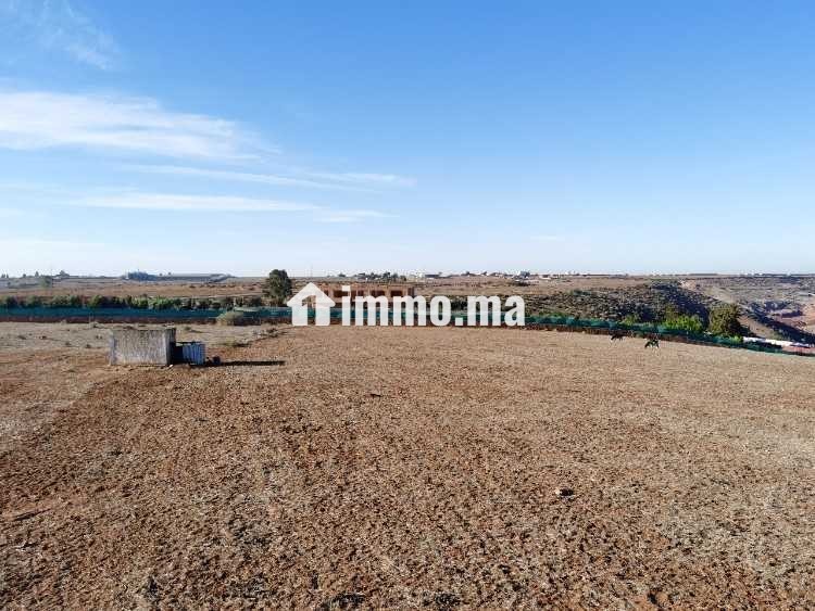 Terrain à vendre 7,5 Ha - Oued El Maleh - Vente Immobilier - Mohammedia - photo 8