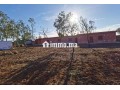 Terrain à vendre 7,5 Ha - Oued El Maleh - miniature 2