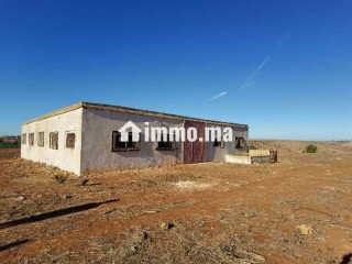 Terrain à vendre 7,5 Ha - Oued El Maleh - Terrain à vendre - Mohammedia