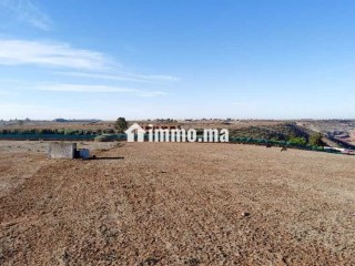 Terrain à vendre 7,5 Ha - Oued El Maleh - Terrain à vendre - Mohammedia