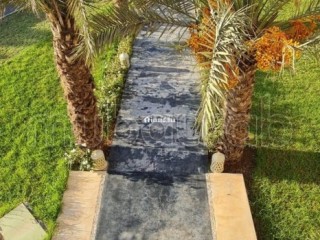 Location saisonnière villa haut standing à Route de l'Ourika.
Superficie 10500 m².
Antenne parabolique et sécurité - Villa à vendre - Marrakech