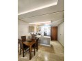 studio-neuf-meuble-haute-gamme-a-bourgogne-q-badr-small-3