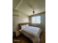studio-neuf-meuble-haute-gamme-a-bourgogne-q-badr-small-7