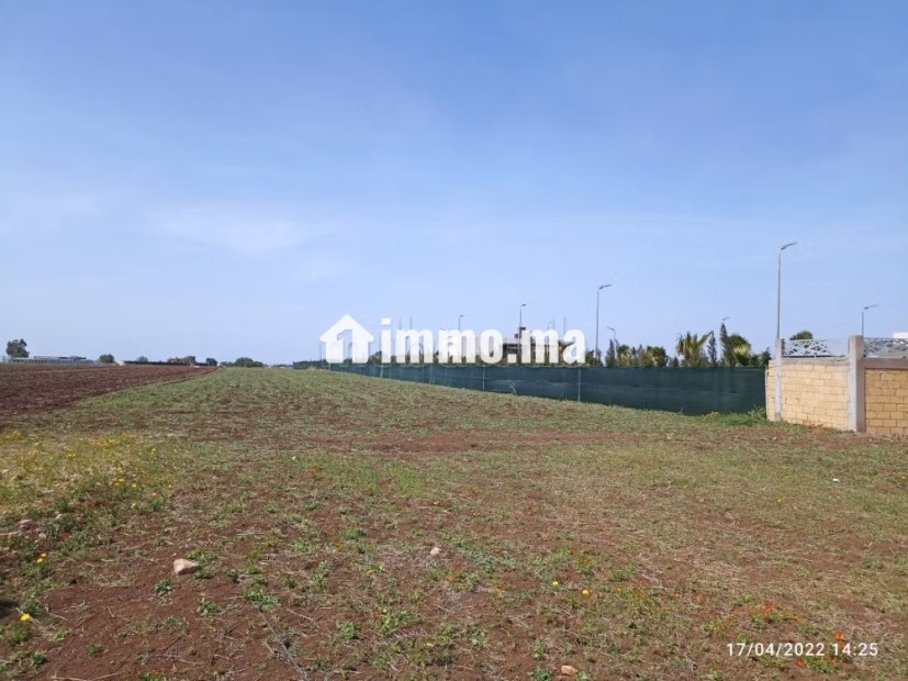 Terrain la3wanss a benslimane - Vente Immobilier - Benslimane - photo 2
