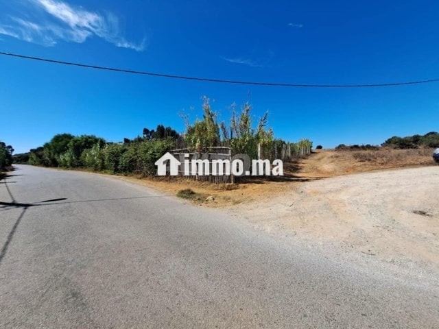 Terrain de 2568 m2 à vendre Briech route Asila - Vente Immobilier - Tanger - photo 2