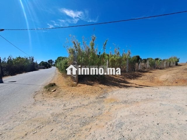 Terrain de 2568 m2 à vendre Briech route Asila - Vente Immobilier - Tanger - photo 3