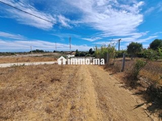 Terrain de 2568 m2 à vendre Briech route Asila - Terrain à vendre - Tanger
