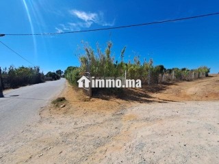 Terrain de 2568 m2 à vendre Briech route Asila - Terrain à vendre - Tanger