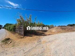 Terrain de 2568 m2 à vendre Briech route Asila - Terrain à vendre - Tanger