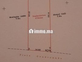 Terrain de 2568 m2 à vendre Briech route Asila - Terrain à vendre - Tanger
