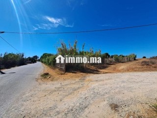 Terrain de 2568 m2 à vendre Briech route Asila - Terrain à vendre - Tanger