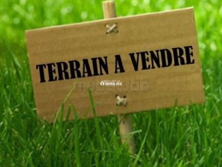 Terrain de 179 m² à vendre - Terrain à vendre - Mohammedia