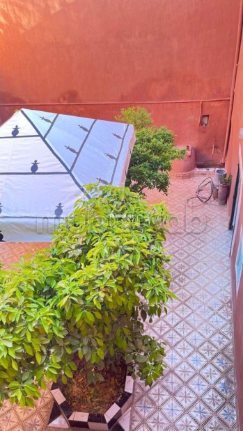 Riad à vendre à Zaouia Sidi Ghalem. 6 chambres agréables - Vente Immobilier - Marrakech - photo 3