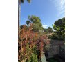 appartement-dans-une-villa-quartier-boubana-small-18