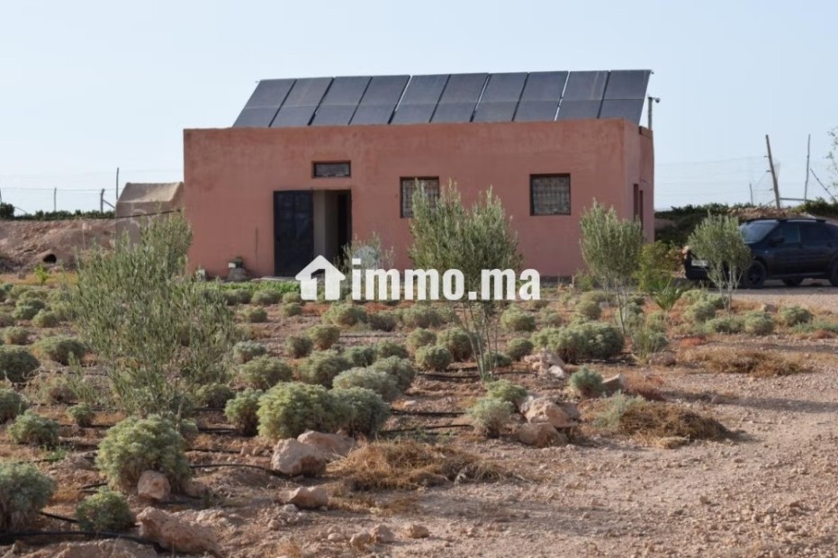 Ferme agricole équipée 10,5 hectares – Mzoudia - Vente Immobilier - Marrakech - photo 5