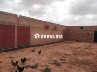 Ferme agricole équipée 10,5 hectares – Mzoudia - Terrain à vendre - Marrakech