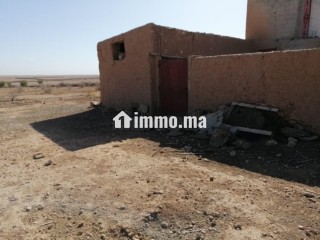 Ferme agricole équipée 10,5 hectares – Mzoudia - Terrain à vendre - Marrakech