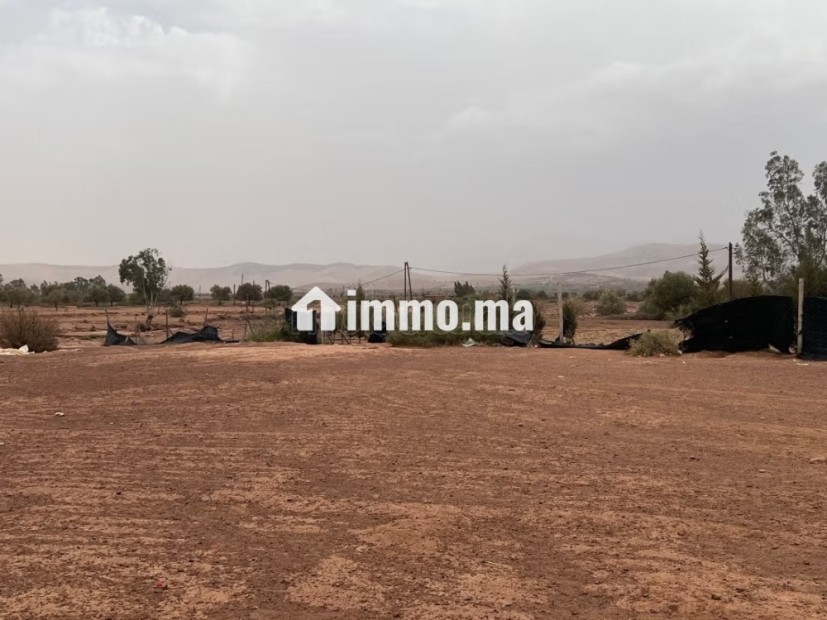 Terrain à la vente à Tamazouzte. Surface de 13000 m² - Vente Immobilier - Autre - photo 3
