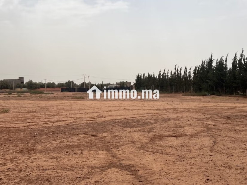 Terrain à la vente à Tamazouzte. Surface de 13000 m² - Vente Immobilier - Autre - photo 4