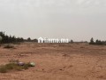 Terrain à la vente à Tamazouzte. Surface de 13000 m² - miniature 2