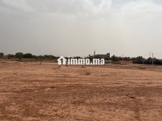 Terrain à la vente à Tamazouzte. Surface de 13000 m² - Terrain à vendre - Autre