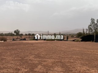 Terrain à la vente à Tamazouzte. Surface de 13000 m² - Terrain à vendre - Autre