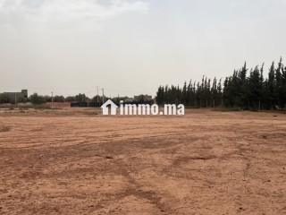 Terrain à la vente à Tamazouzte. Surface de 13000 m² - Terrain à vendre - Autre