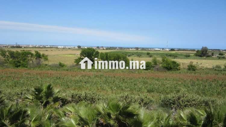 Terrain a vendre sur r. azemmour - Vente Immobilier - Casablanca - photo 3