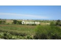 Terrain a vendre sur r. azemmour - miniature 1